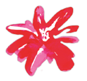 Bloem Louise Tuijt
