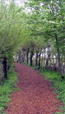 welkom